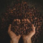 De voordelen van ceremoniële cacao voor lichaam en geest